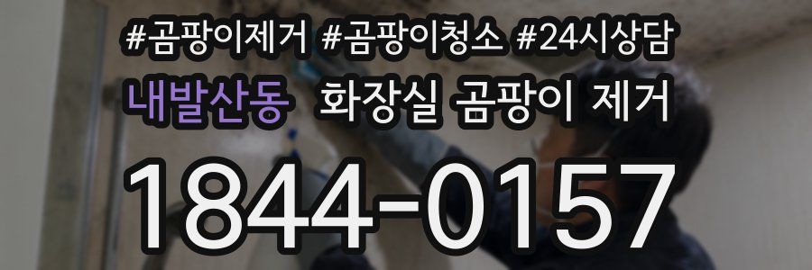 내발산동 화장실 곰팡이 제거