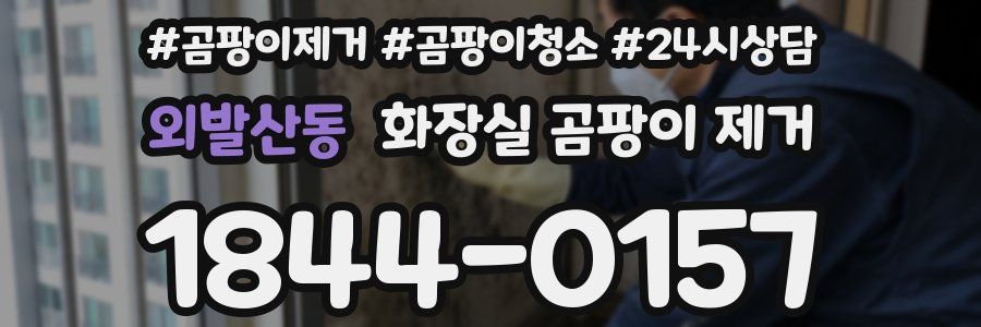 외발산동 화장실 곰팡이 제거