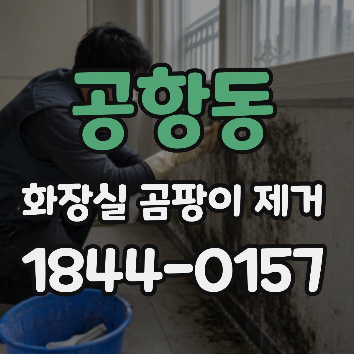 공항동 화장실 곰팡이 제거