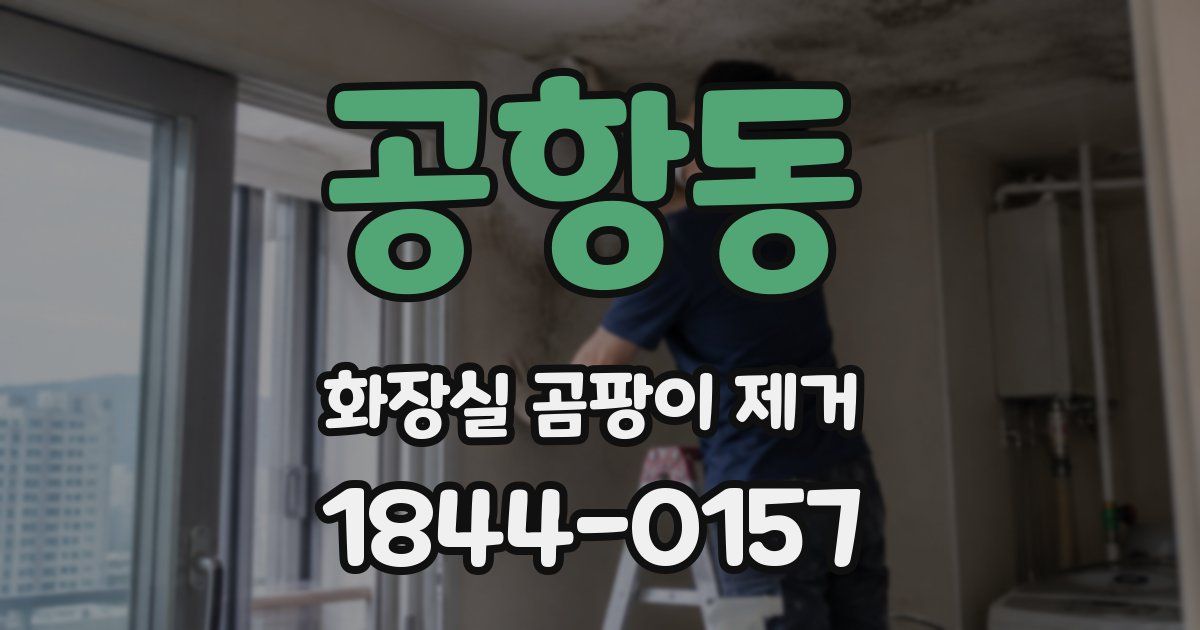 공항동 화장실 곰팡이 제거