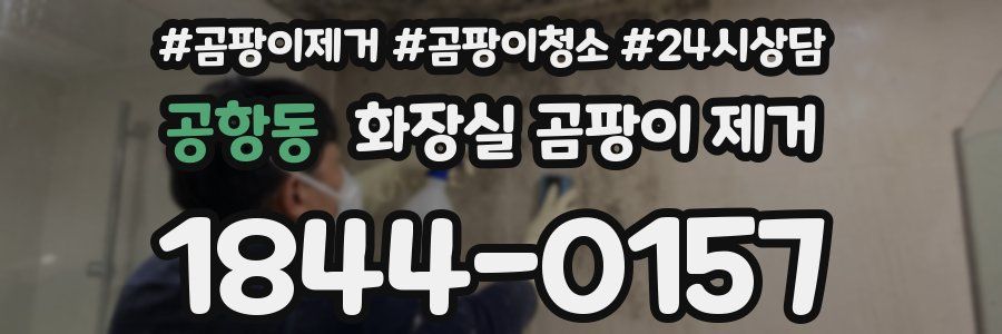 공항동 화장실 곰팡이 제거