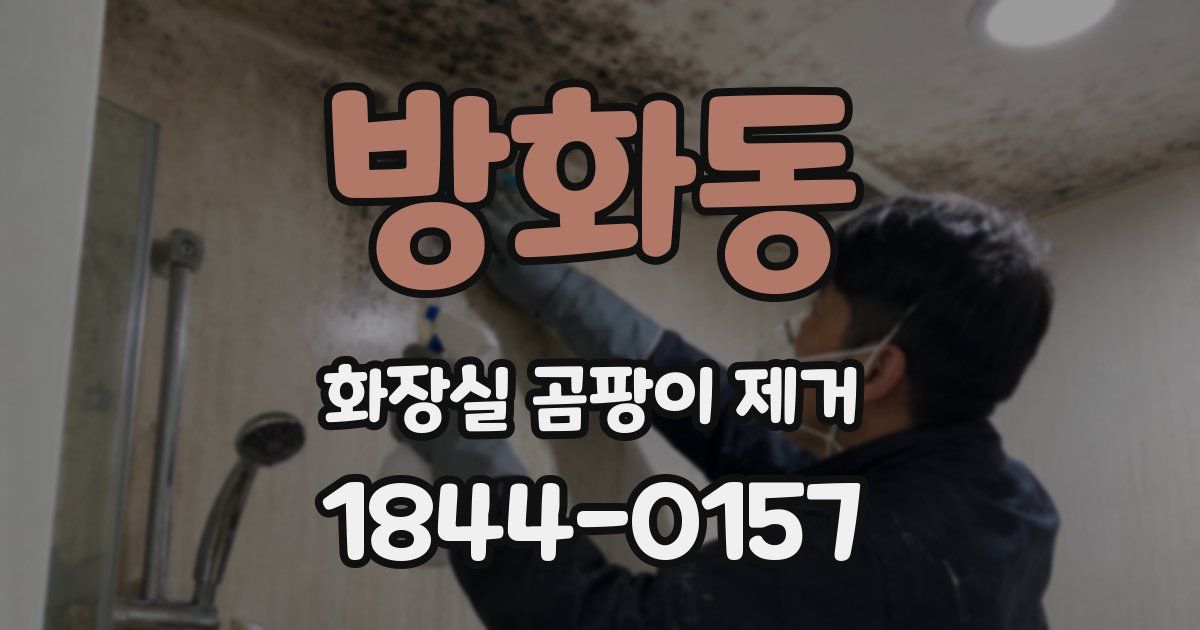 방화동 화장실 곰팡이 제거