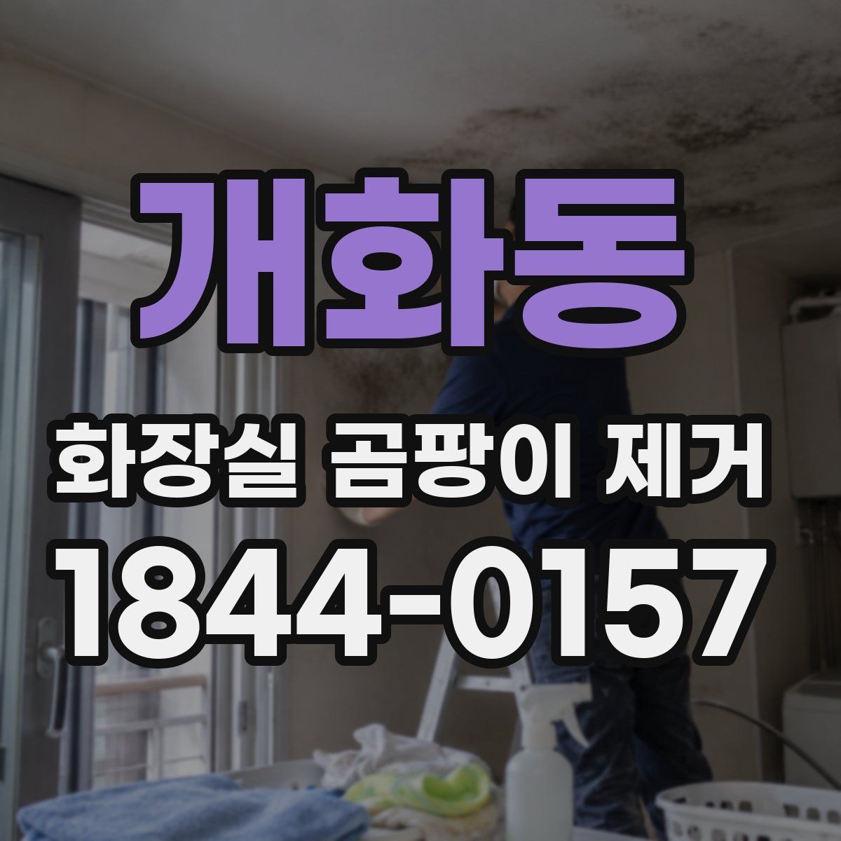 개화동 화장실 곰팡이 제거