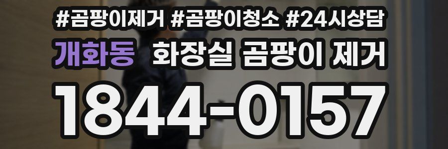 개화동 화장실 곰팡이 제거