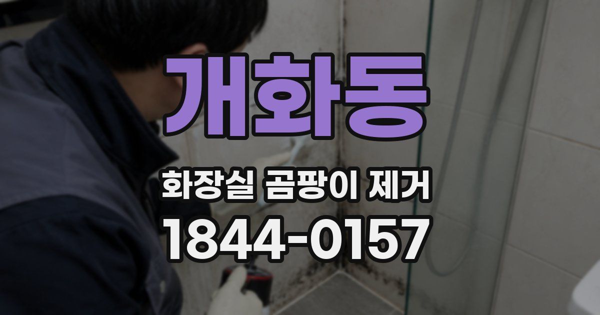 개화동 화장실 곰팡이 제거