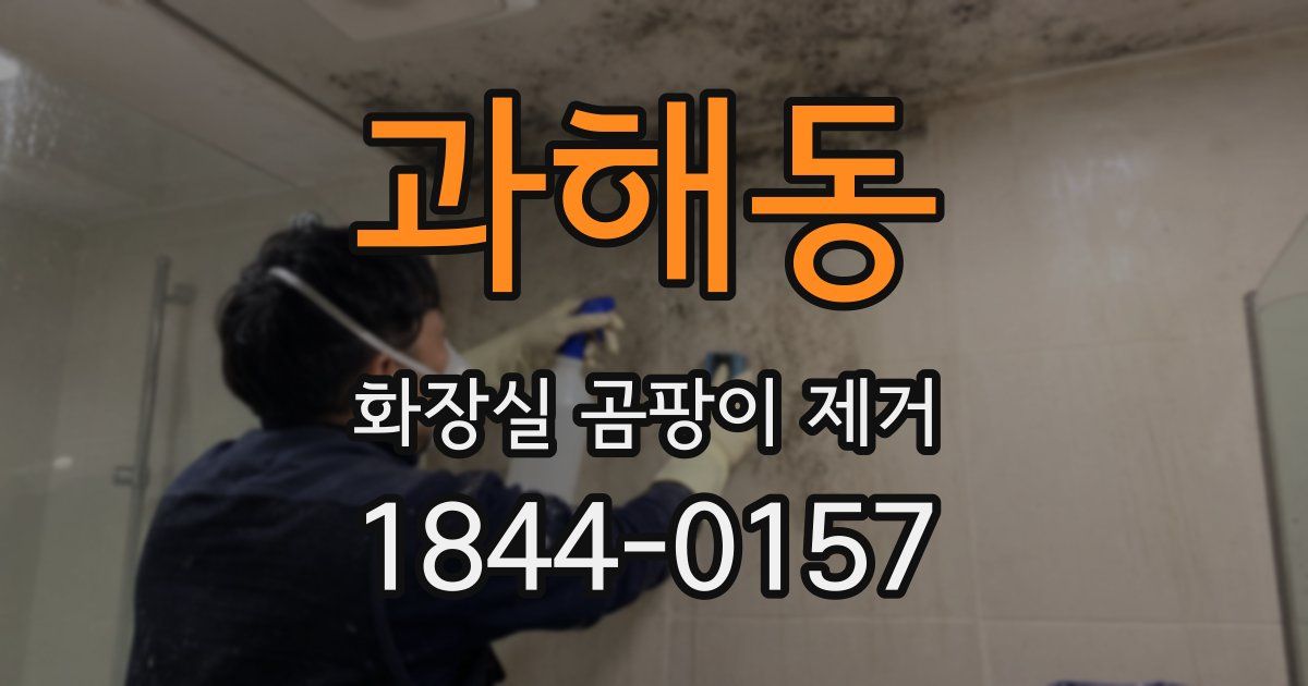 과해동 화장실 곰팡이 제거