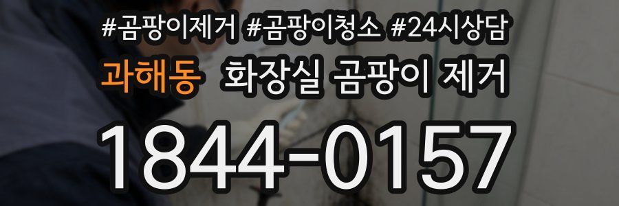 과해동 화장실 곰팡이 제거