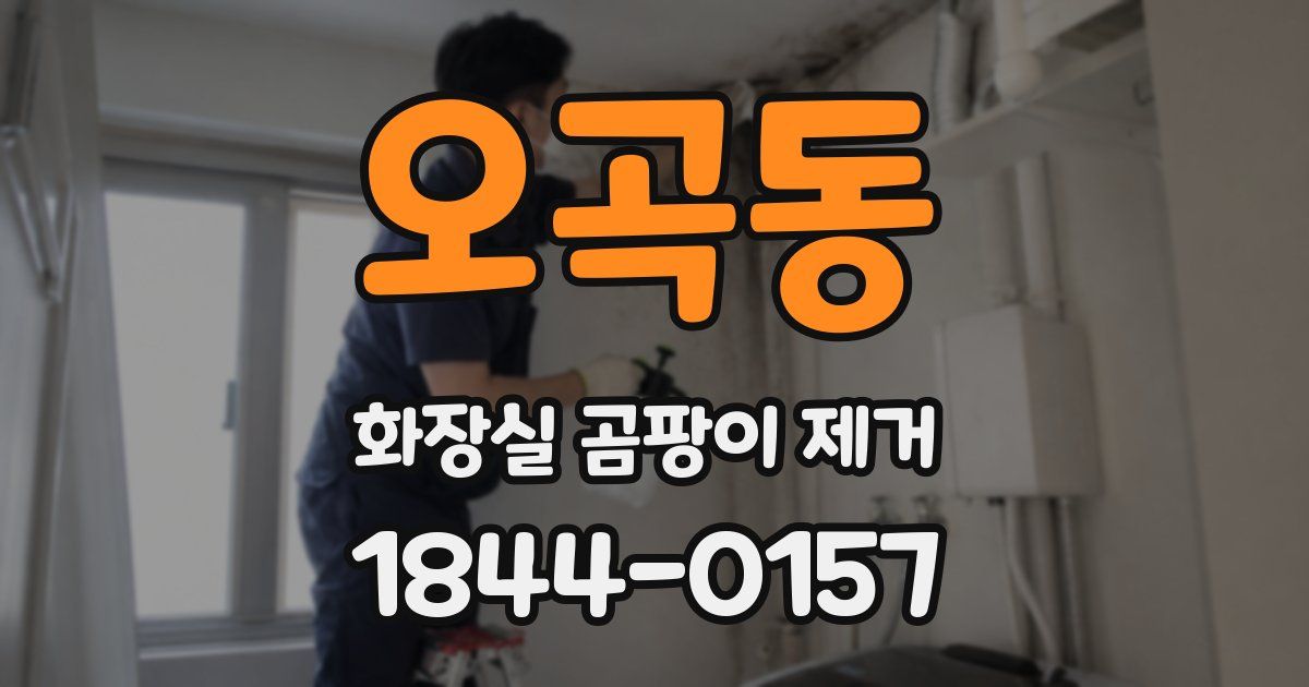오곡동 화장실 곰팡이 제거