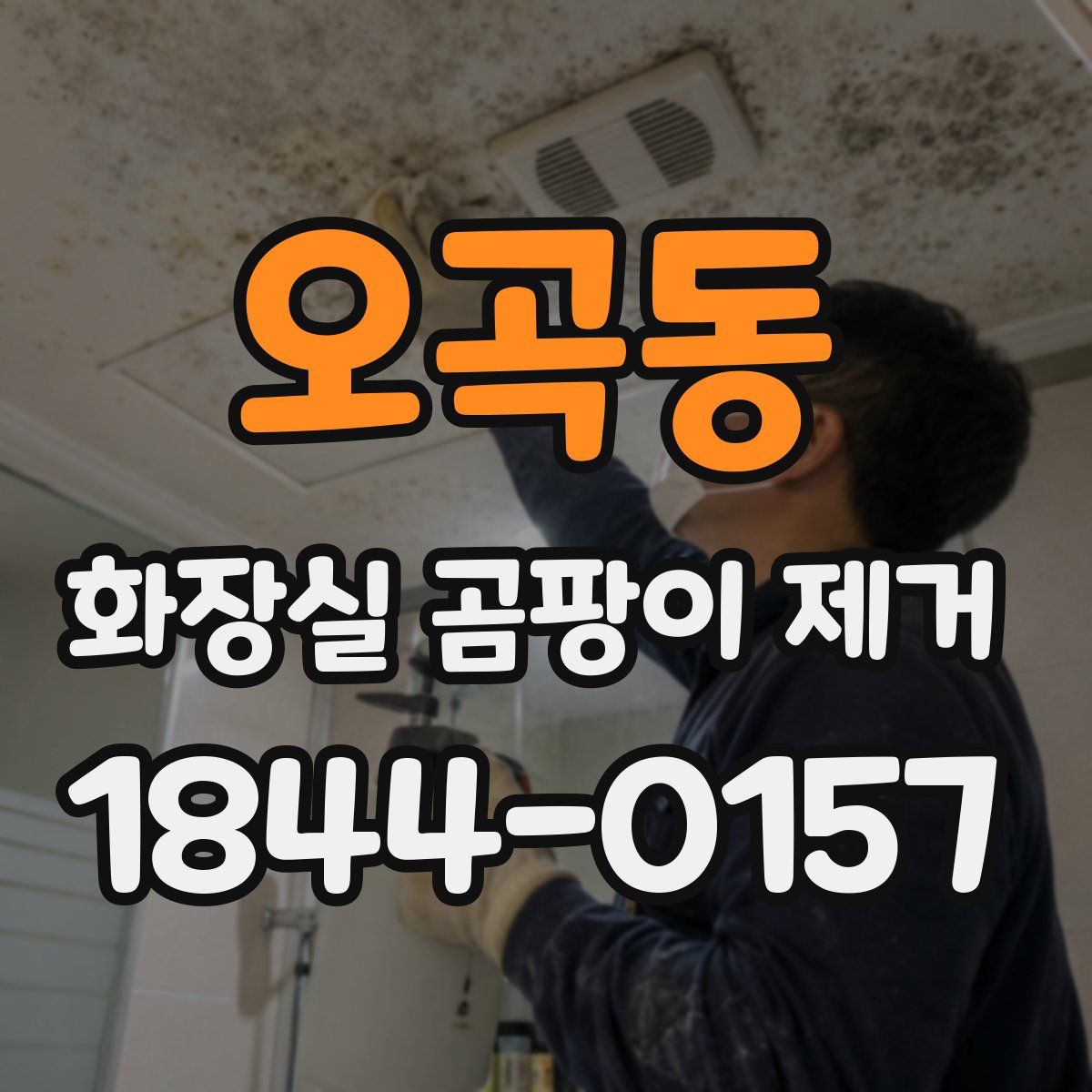 오곡동 화장실 곰팡이 제거