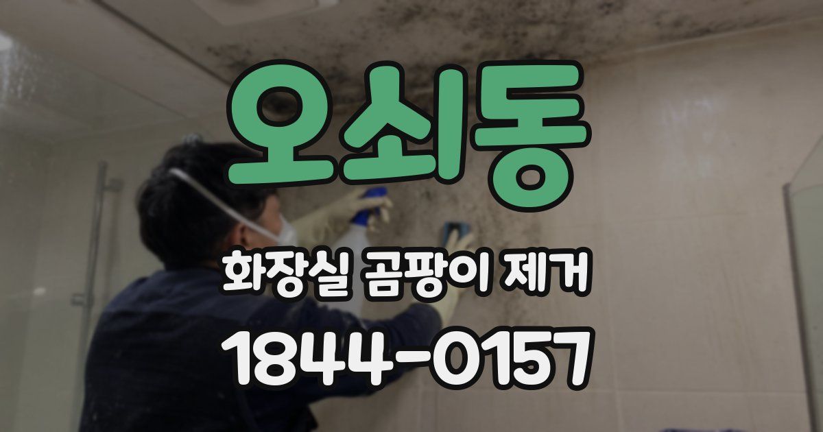 오쇠동 화장실 곰팡이 제거