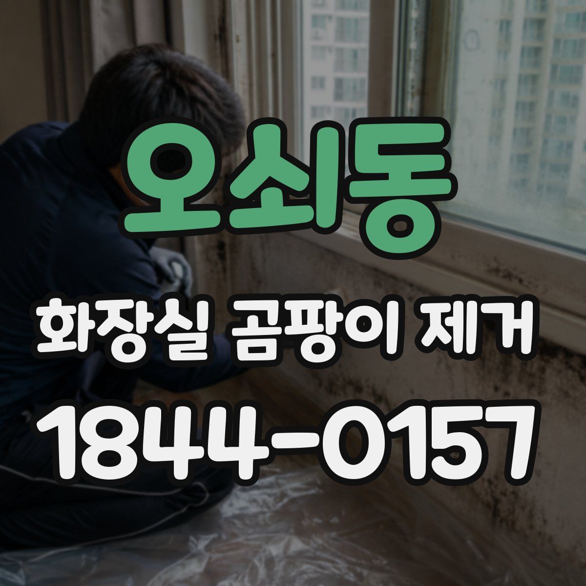 오쇠동 화장실 곰팡이 제거