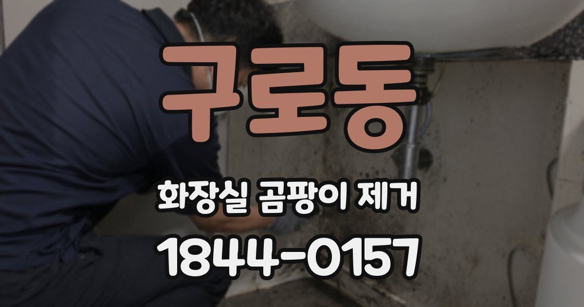 구로동 화장실 곰팡이 제거