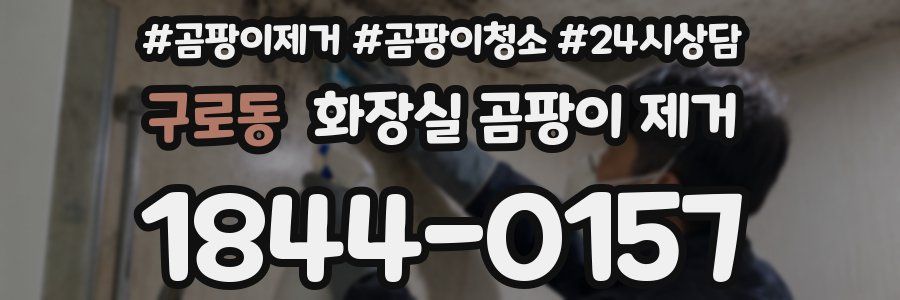 구로동 화장실 곰팡이 제거