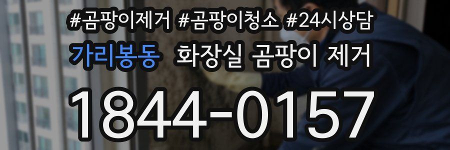 가리봉동 화장실 곰팡이 제거