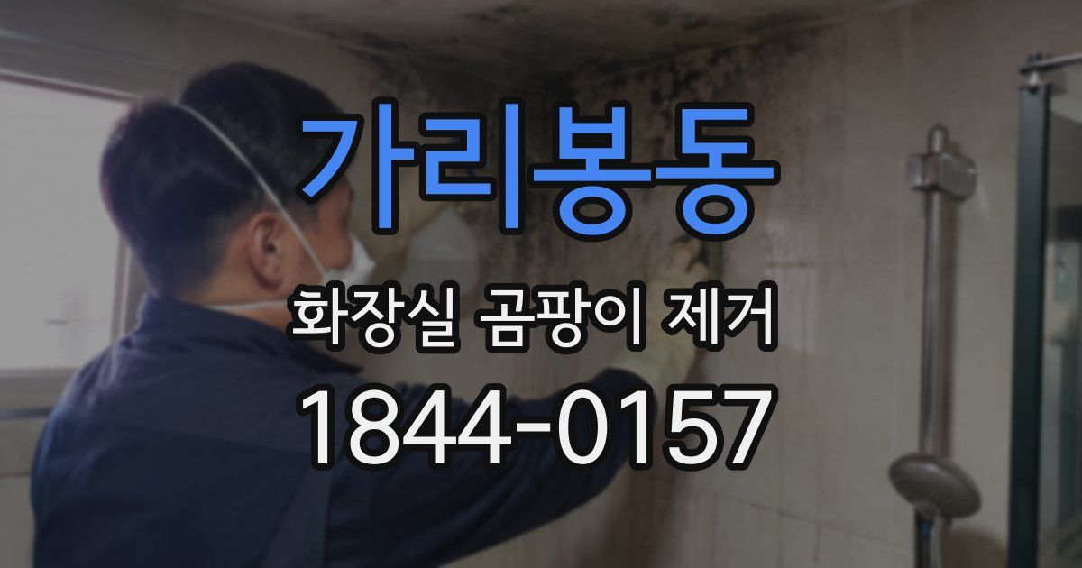 가리봉동 화장실 곰팡이 제거
