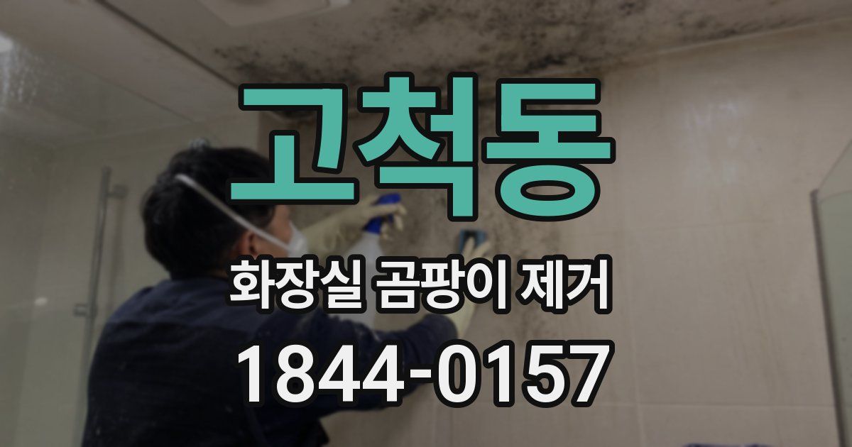 고척동 화장실 곰팡이 제거