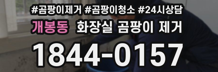 개봉동 화장실 곰팡이 제거