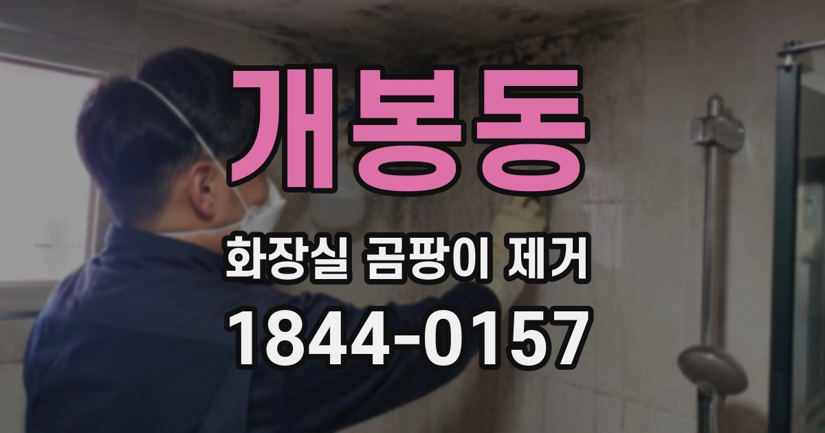 개봉동 화장실 곰팡이 제거