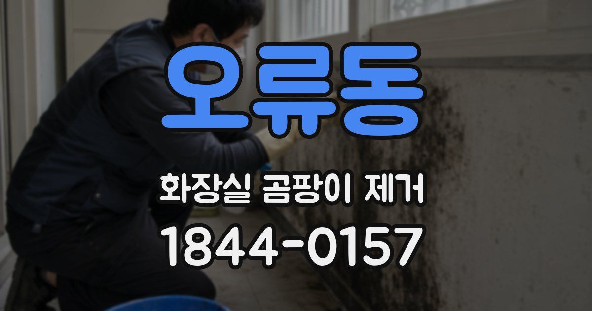 오류동 화장실 곰팡이 제거