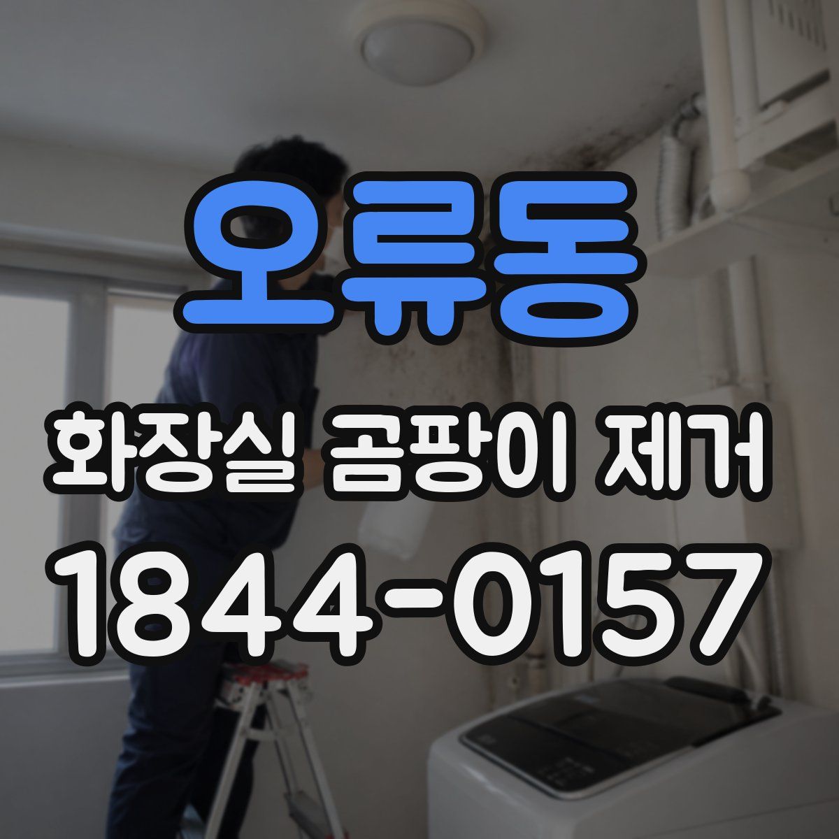 오류동 화장실 곰팡이 제거