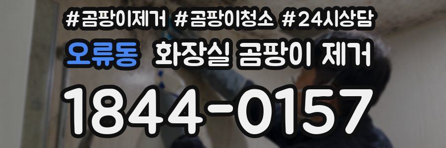 오류동 화장실 곰팡이 제거
