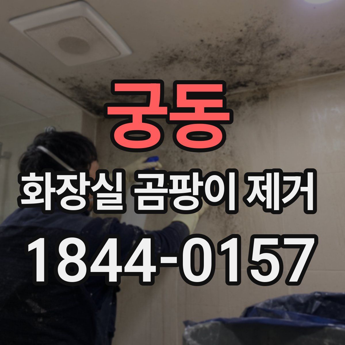 궁동 화장실 곰팡이 제거