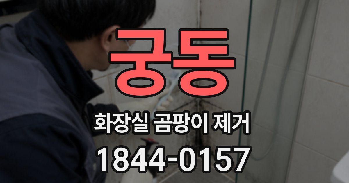 궁동 화장실 곰팡이 제거