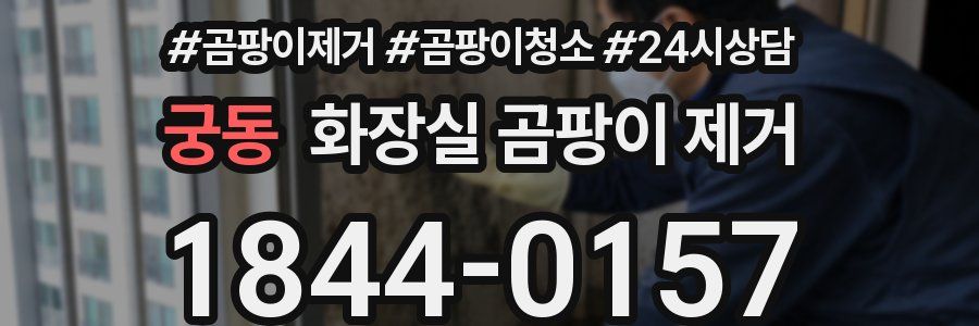 궁동 화장실 곰팡이 제거