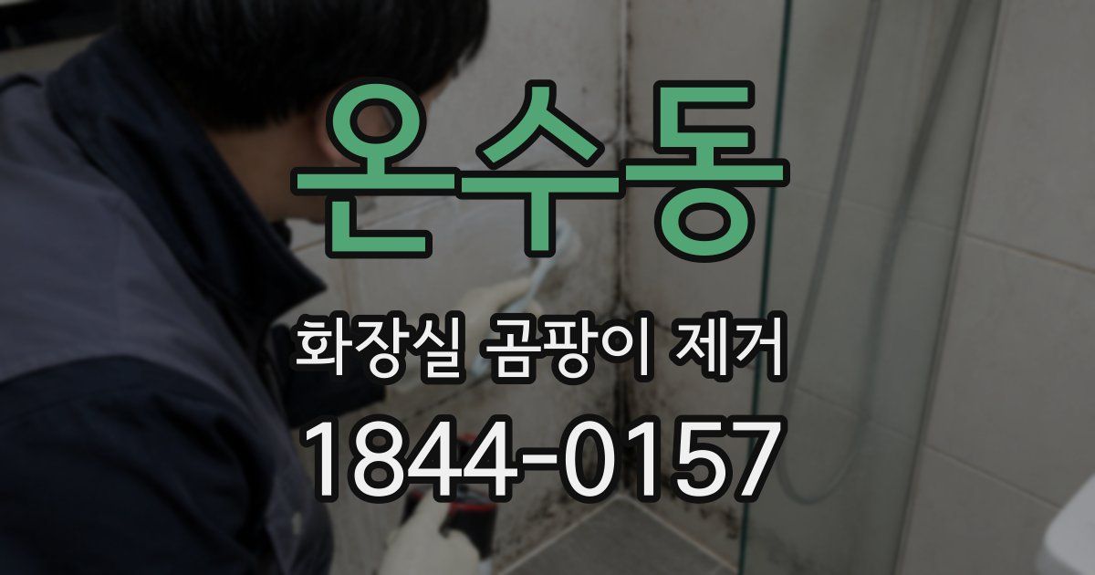 온수동 화장실 곰팡이 제거