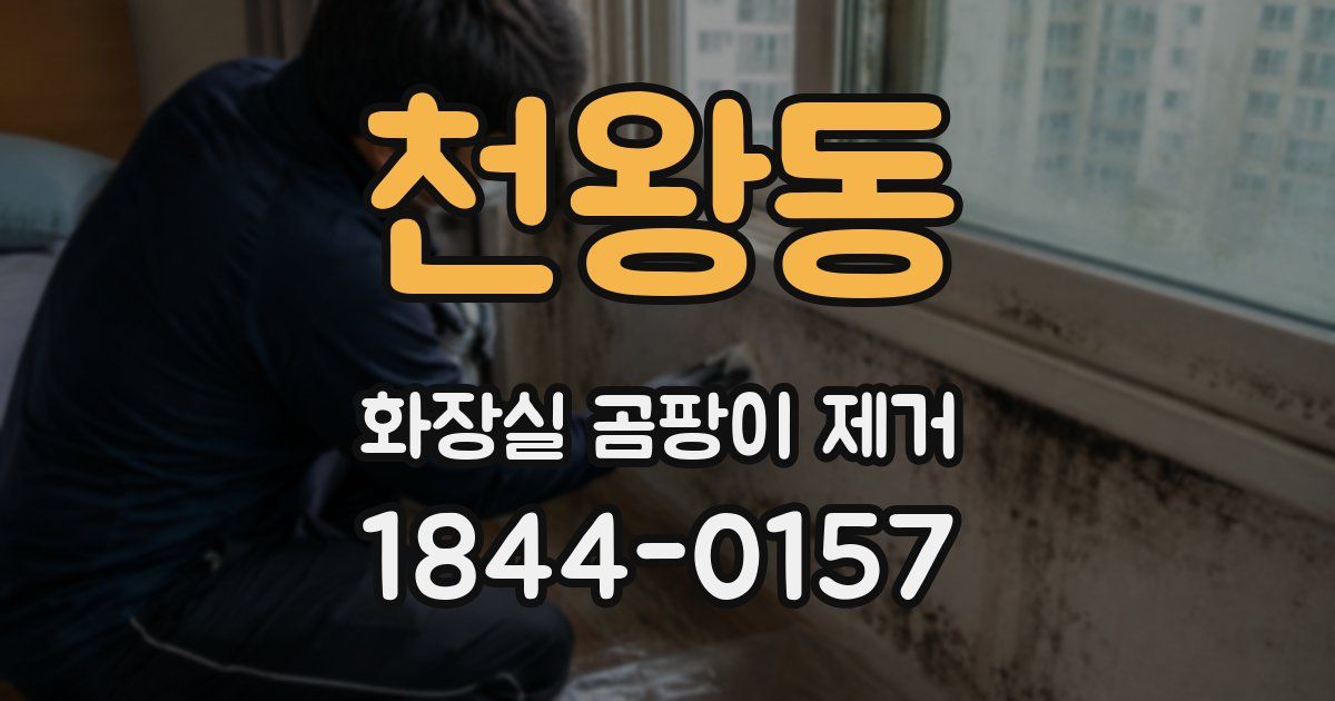 천왕동 화장실 곰팡이 제거