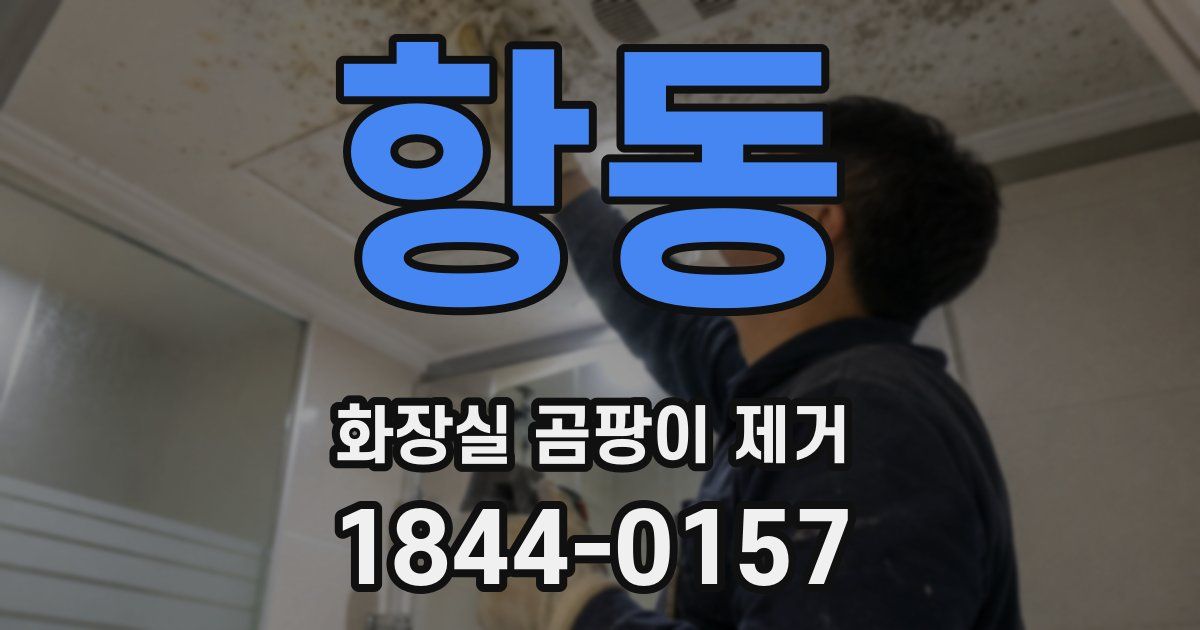 항동 화장실 곰팡이 제거