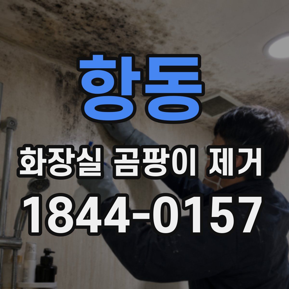 항동 화장실 곰팡이 제거