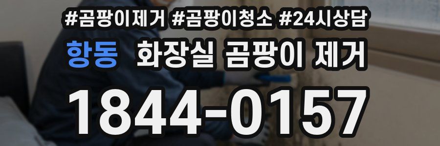 항동 화장실 곰팡이 제거