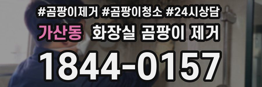 가산동 화장실 곰팡이 제거