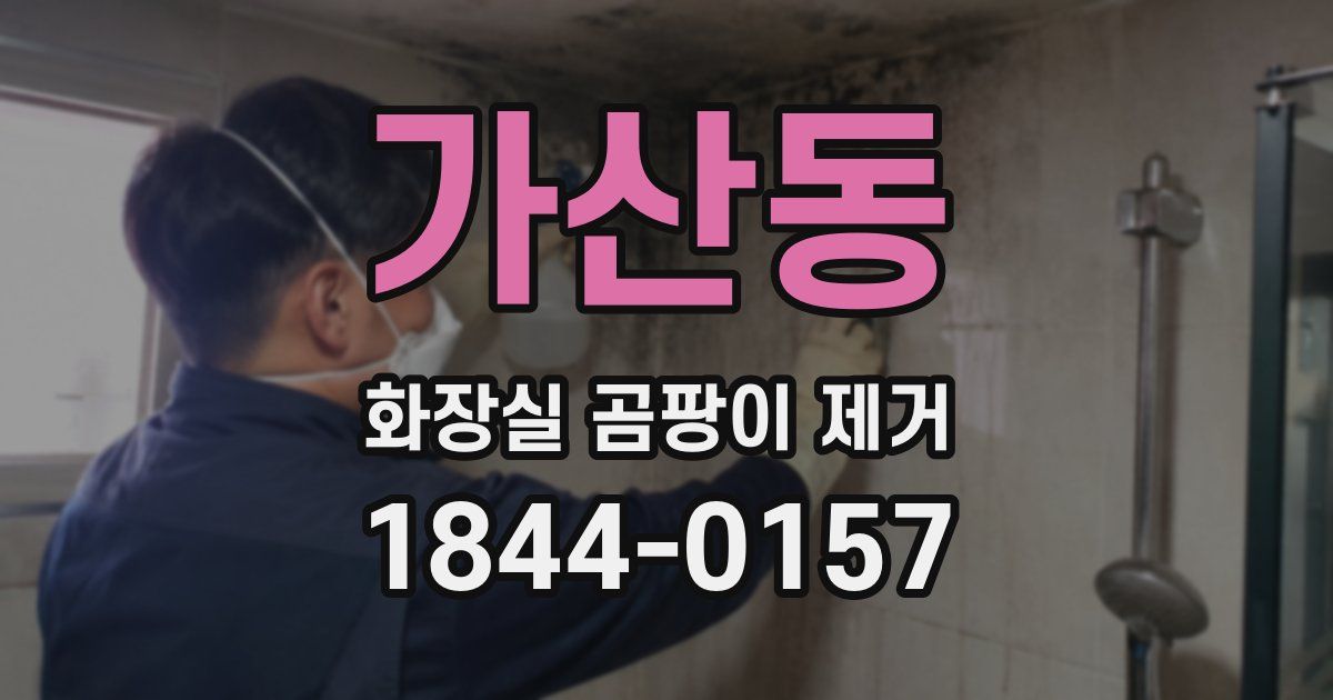 가산동 화장실 곰팡이 제거