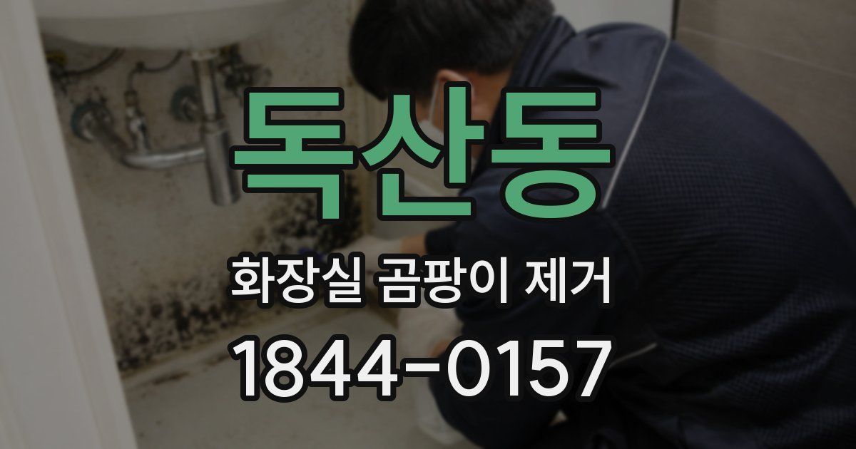 독산동 화장실 곰팡이 제거