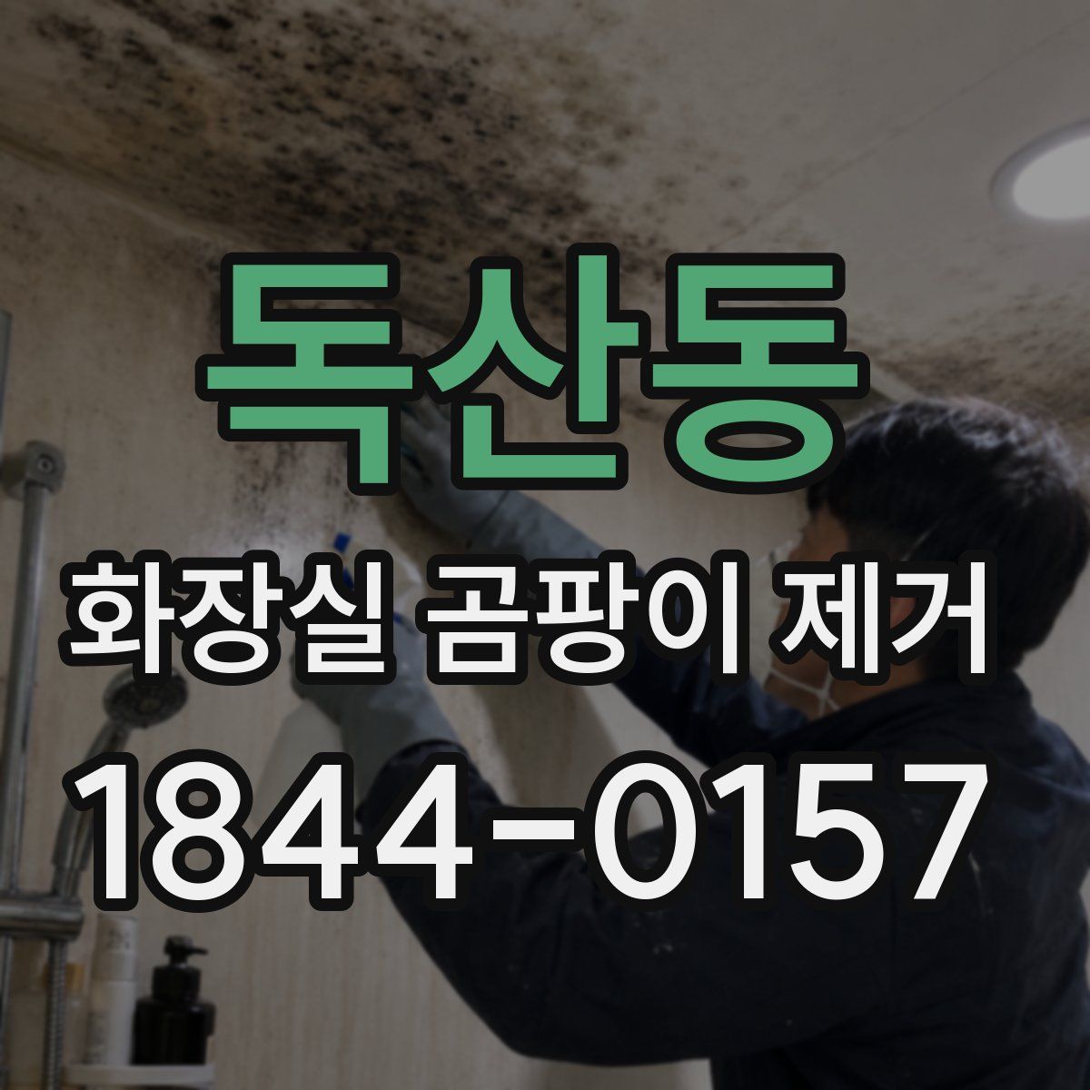 독산동 화장실 곰팡이 제거