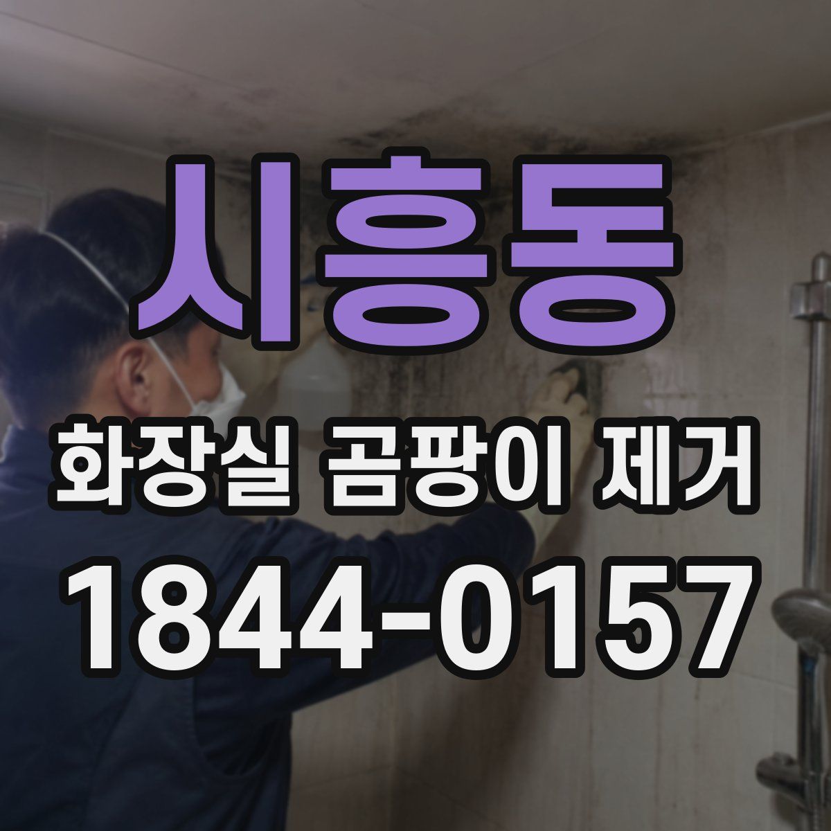 시흥동 화장실 곰팡이 제거