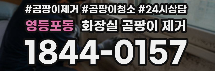 영등포동 화장실 곰팡이 제거