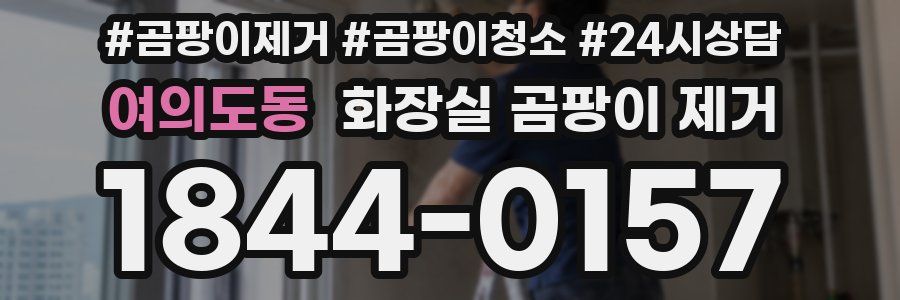 여의도동 화장실 곰팡이 제거