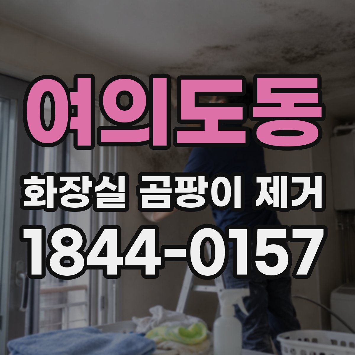 여의도동 화장실 곰팡이 제거