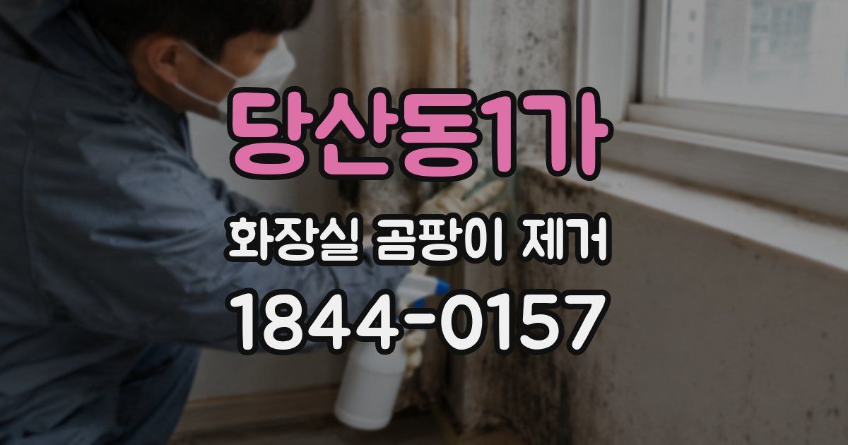 당산동1가 화장실 곰팡이 제거