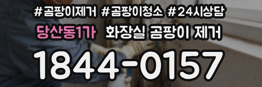 당산동1가 화장실 곰팡이 제거