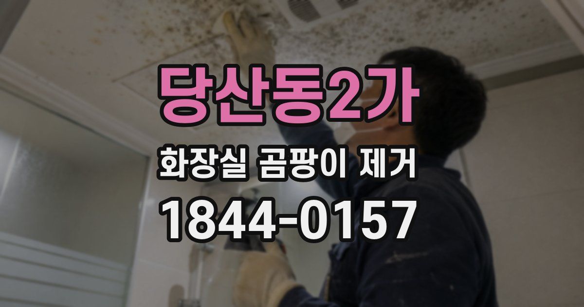 당산동2가 화장실 곰팡이 제거
