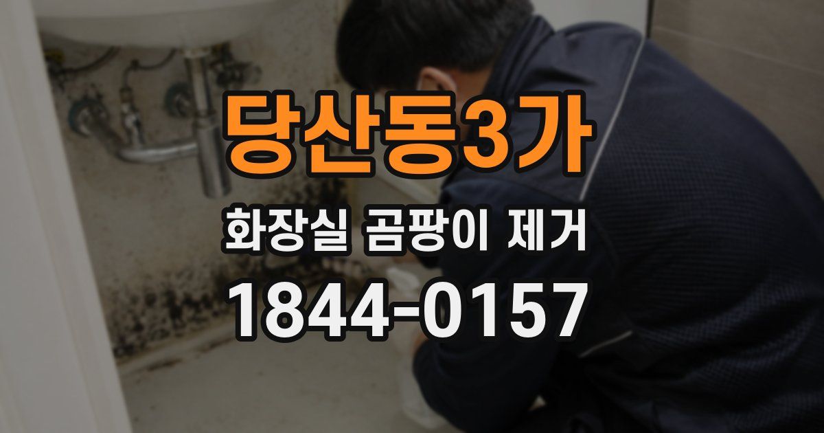 당산동3가 화장실 곰팡이 제거