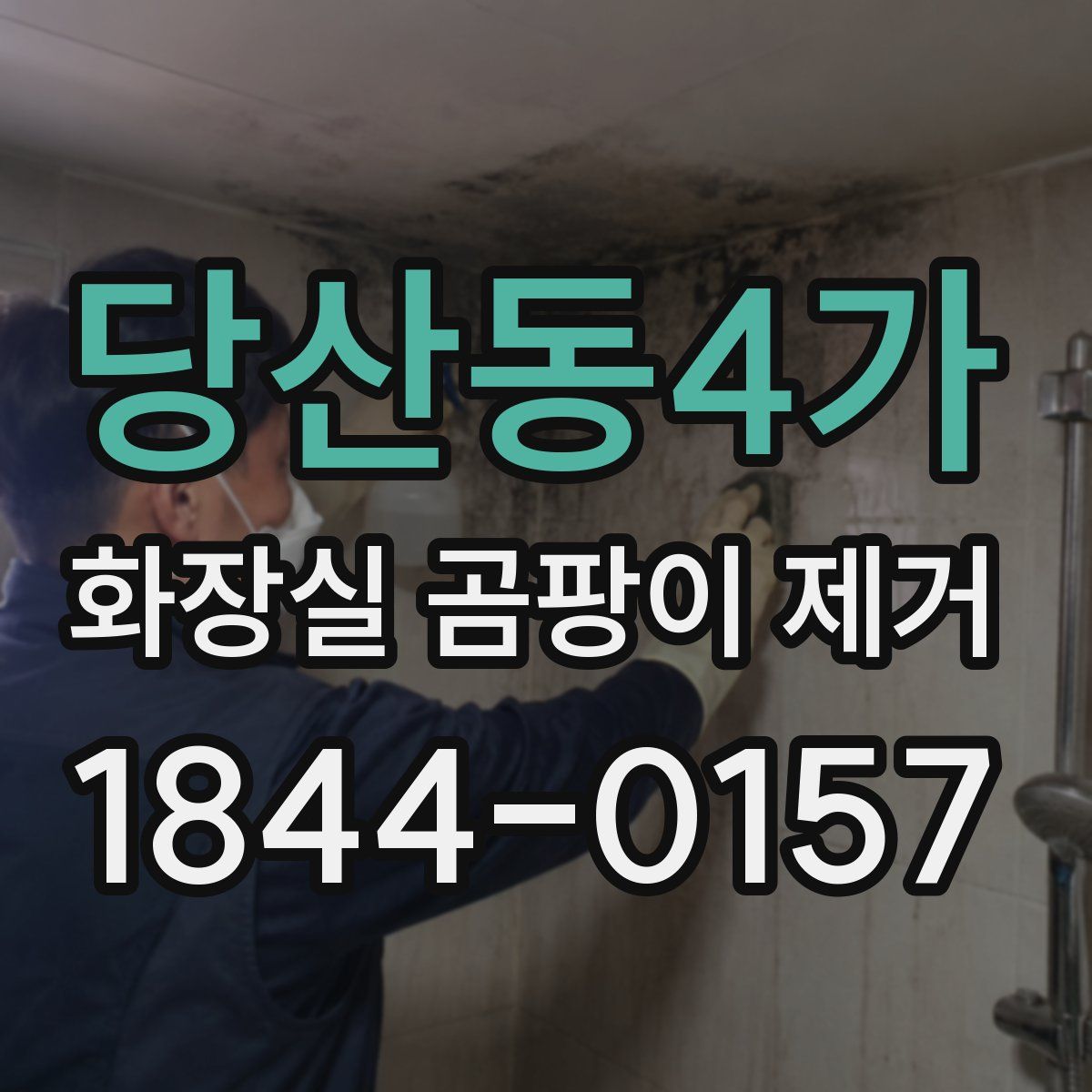 당산동4가 화장실 곰팡이 제거