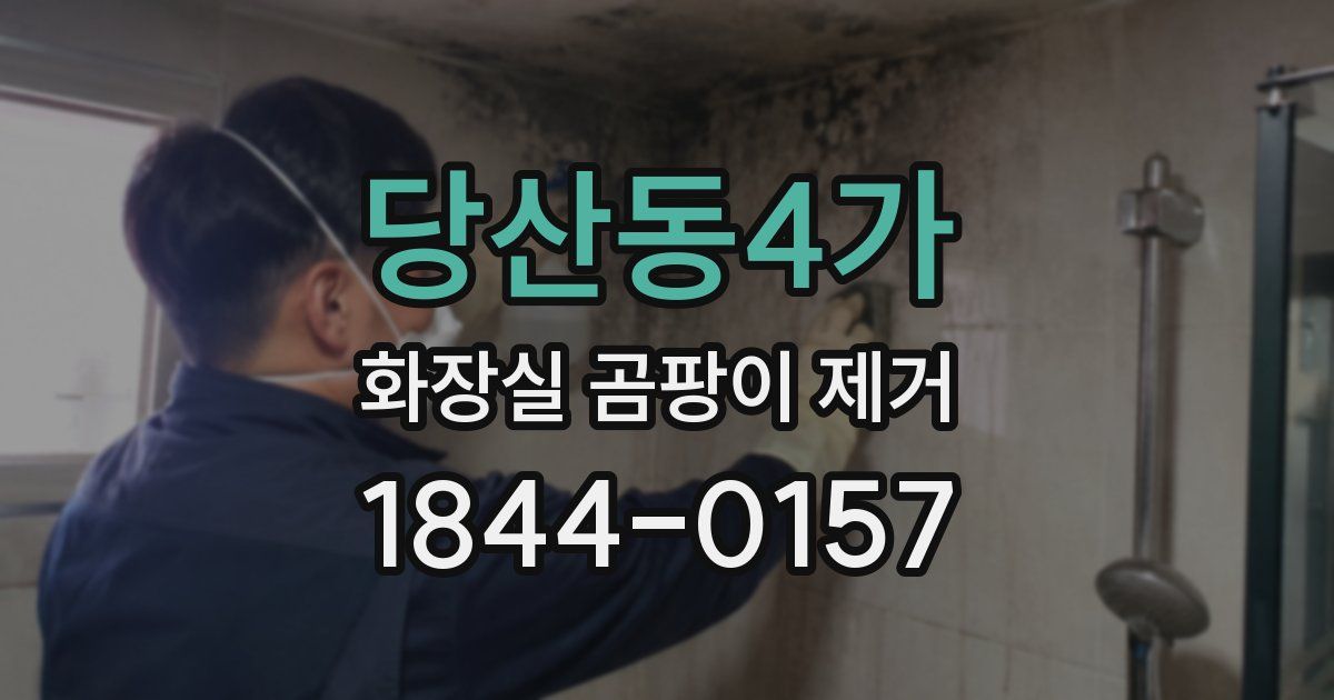 당산동4가 화장실 곰팡이 제거