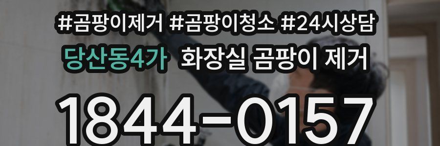 당산동4가 화장실 곰팡이 제거