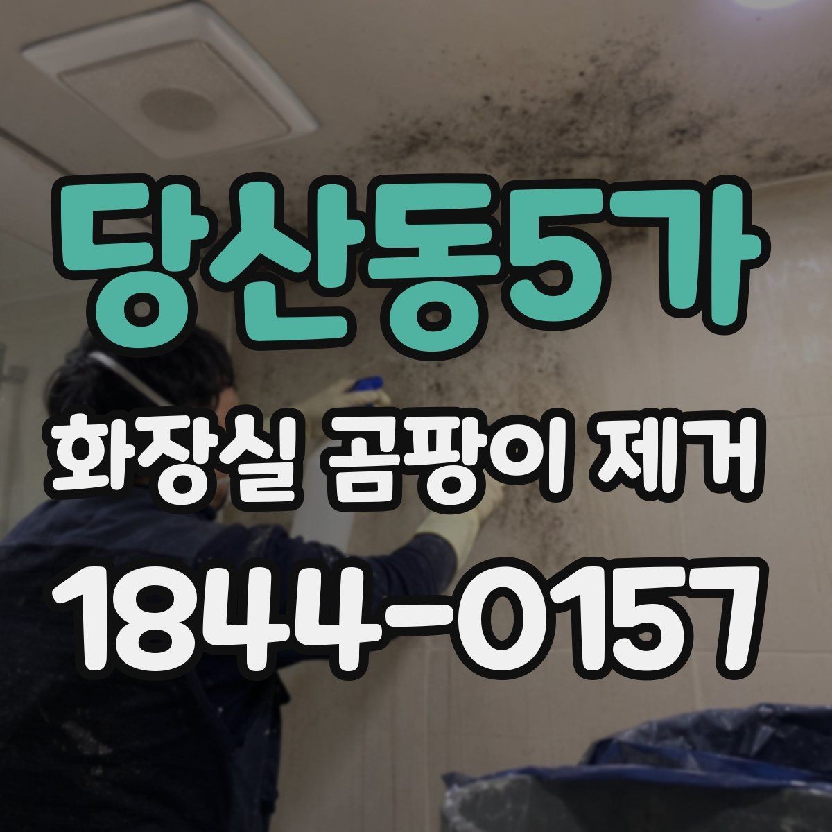 당산동5가 화장실 곰팡이 제거 오래된 오염이 쉽게 남는 환경