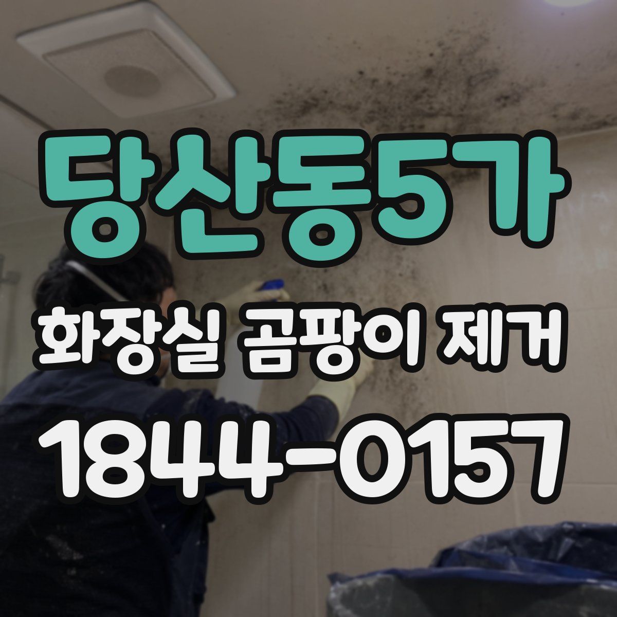 당산동5가 화장실 곰팡이 제거